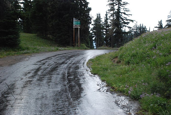 West Leg Road Timberline-0667