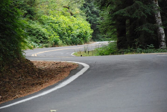 Brower Road-0979