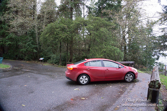 Vashon View
