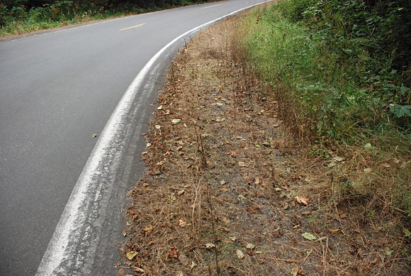Haines Road-0905