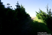Ranch 26 Beach South Overlook