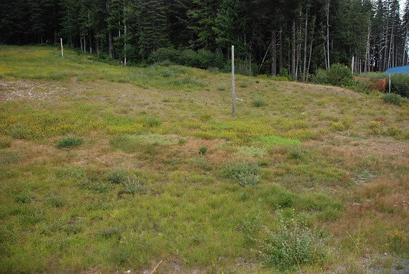 Summit Ski Area-0880