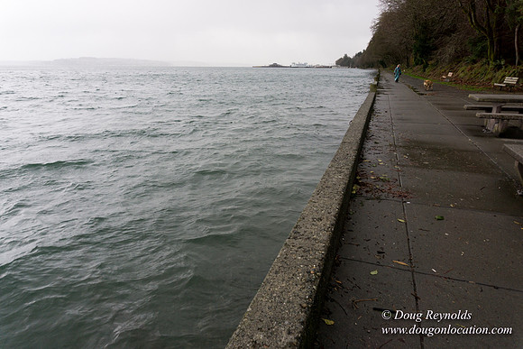 Owen Beach At Pt D