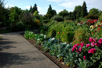 Kennedy community gardens