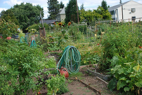 Summers Park Community Garden