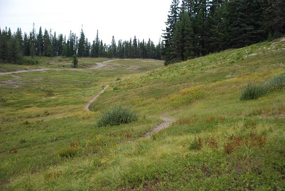 Summit Ski Area-0867