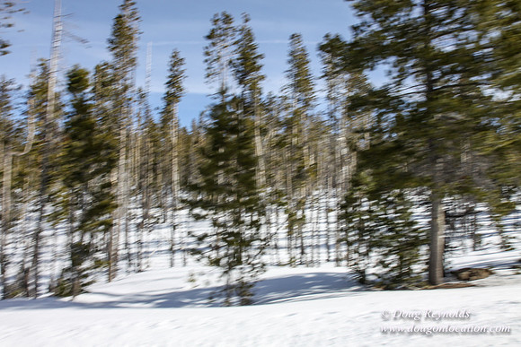 3 creeks Road in Snow