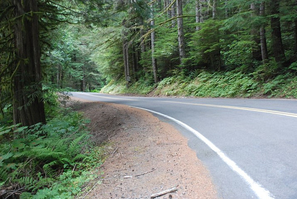 Brower Road-1003