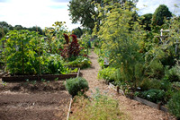 Summers Park Community Garden