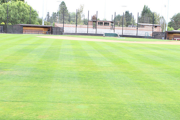 Forest Grove Baseball