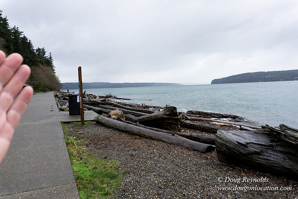 Owen Beach At Pt D
