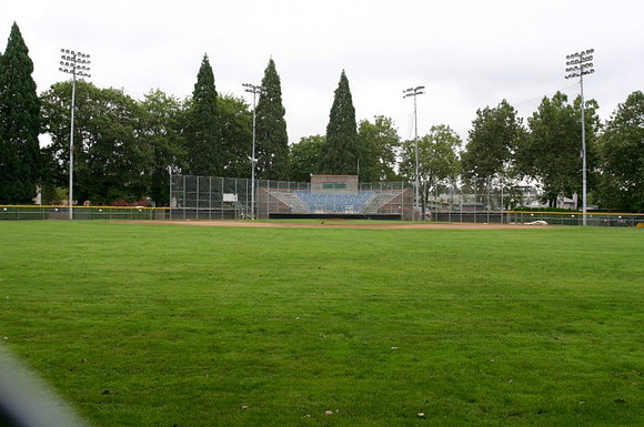 Sckavone Field-0102 copy