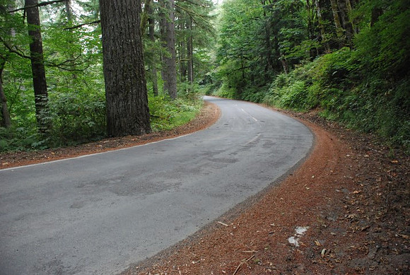 Haines Road-0935