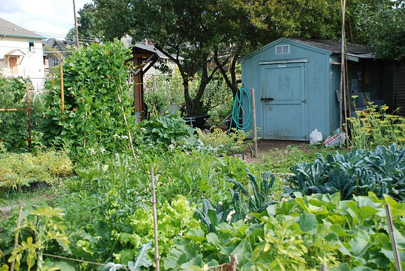 Summers Park Community Garden