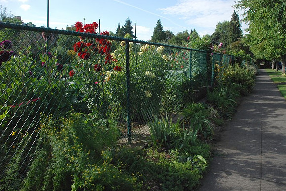 Kennedy community gardens