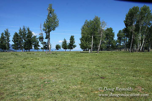 2500 Acres of green fields Creeks water crossing Bridges on a Large Lake and miles of Dirt roads Oak trees Forest land ATV Trails cows