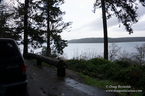 Vashon View