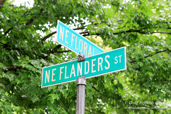 Flanders & Floral