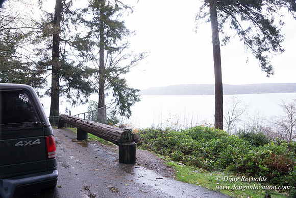 Vashon View