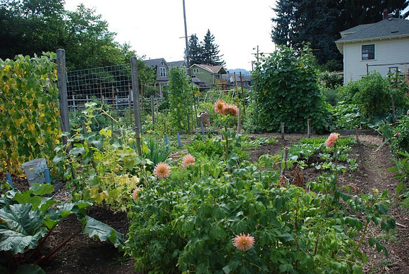 Summers Park Community Garden