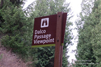 Dalco View