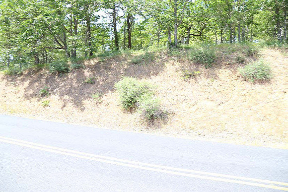 Canyon Rd 2-7963