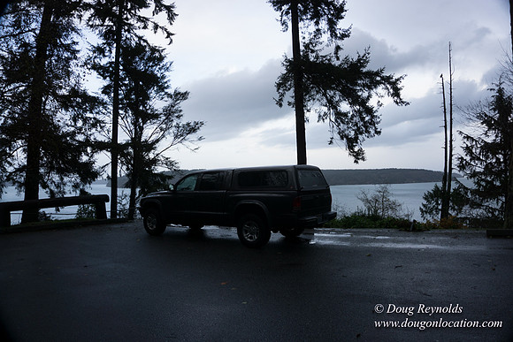 Vashon View