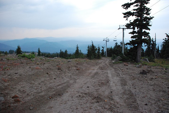 Off road at Timberline-0659