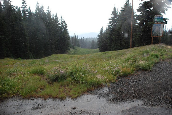 West Leg Road Timberline-0658