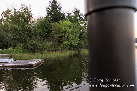 Johns Lake House-8241