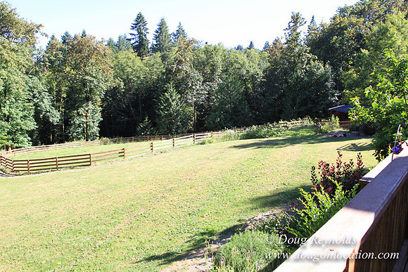 Traditional Style Home small farm with large kitchen great room, 2 story, 2 car garage on Acreage with large back yard, large front yard, garden, pond, deck, goats, bees, shop, PDX Zone