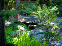 Mid Century Atomic Ranch Back Yard with Hot Tub, Patio, Small stream, and Pond with Deck well Maintained.  House photos on line soon.