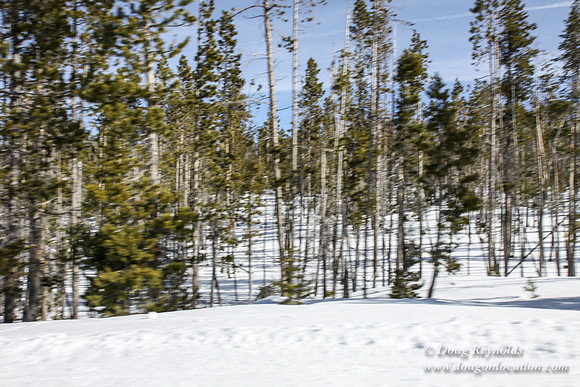 3 creeks Road in Snow