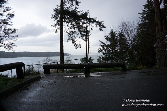 Vashon View