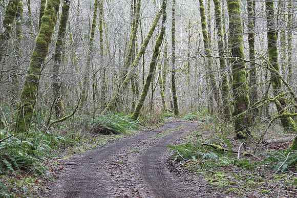 Elk Creek
