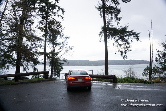 Vashon View