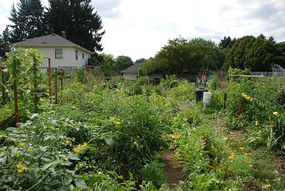 Summers Park Community Garden