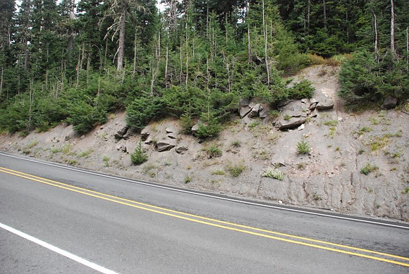Timberline Road -0834