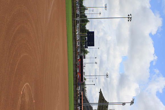Hillsboro Baseball