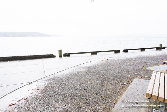 Owen Beach At Pt D