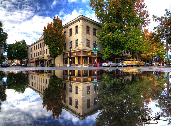 PDX reflect