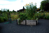 Mt Tabor Park community garden