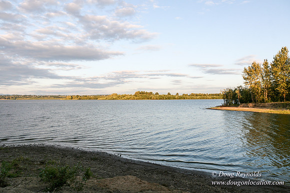 Vancouver Lake Park