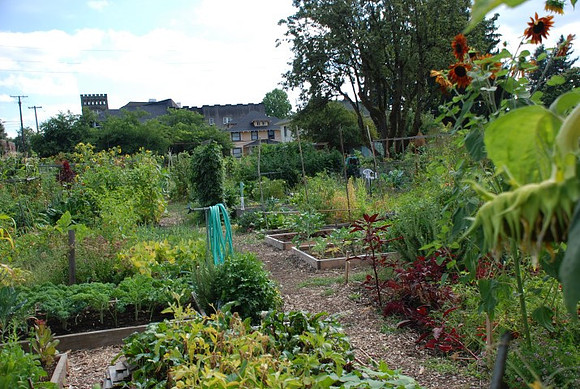 Summers Park Community Garden