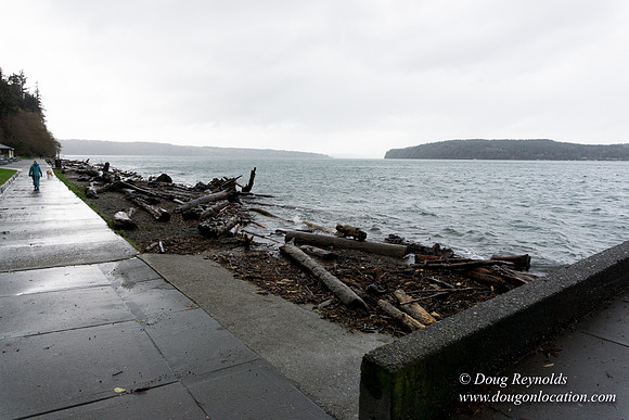 Owen Beach At Pt D