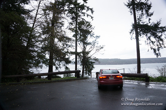 Vashon View