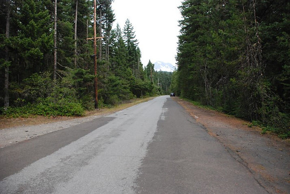 Road 39 near Mt. Hood-0888