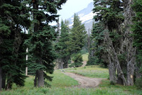 cabins off West Leg Rd-0681