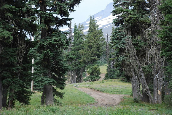 cabins off West Leg Rd-0681