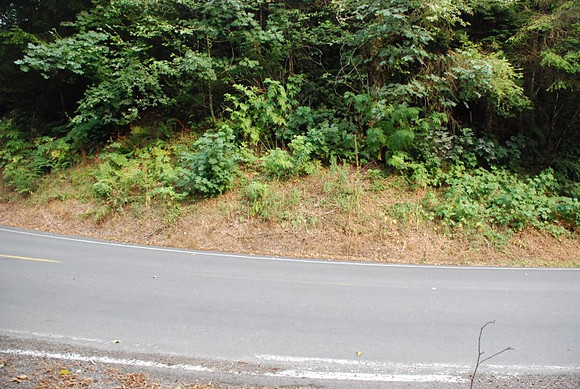 Haines Road-0923